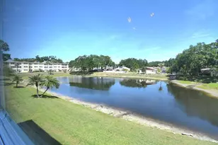 936 Virginia St, Dunedin, FL 34698 - Photo 10