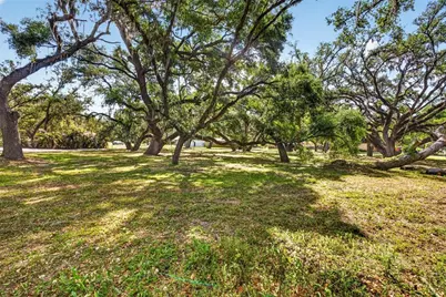 5355 Bernadette Dr, Zephyrhills, FL 33541 - Photo 4