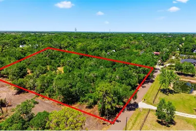 19084 Red Bird Lane #LOT 5, Lithia, FL 33547 - Photo 4