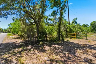 19084 Red Bird Lane #LOT 2, Lithia, FL 33547 - Photo 6