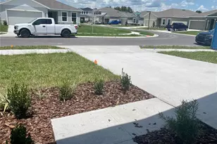 18236 Hunters Meadow Walk, Land O Lakes, FL 34638 - Photo 30