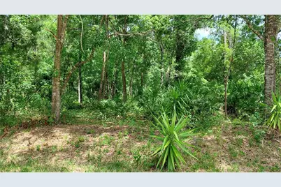 Davista, New Port Richey, FL 34654 - Photo 1