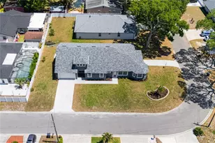 6401 Felice Ave, Tampa, FL 33614 - Photo 6