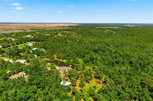 1115 410th Ct E, Myakka City, FL 34251 - Photo 56