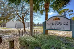 3522 Springville Dr, Valrico, FL 33596 - Photo 28