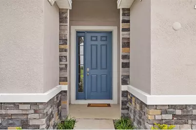 32003 Conchshell Sail Street, Wesley Chapel, FL 33545 - Photo 6