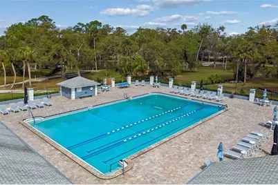 18529 Pebble Lake Court, Tampa, FL 33647 - Photo 54