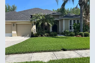 26612 Shoregrass Drive, Wesley Chapel, FL 33544 - Photo 1