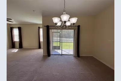 20010 Date Palm Way, Tampa, FL 33647 - Photo 10