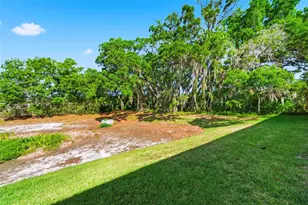 6811 Dartmouth Hill St, Riverview, FL 33578 - Photo 50