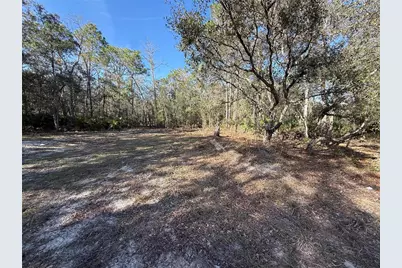 6479 W Holiday Street, Homosassa, FL 34446 - Photo 4