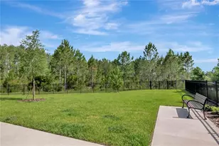 3587 Bellmeade Ct, Wesley Chapel, FL 33543 - Photo 38