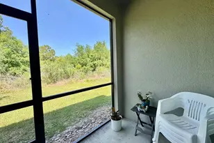 3587 Bellmeade Ct, Wesley Chapel, FL 33543 - Photo 34