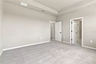 3417 Yellow Cassia Dr, Wesley Chapel, FL 33543 - Photo 16