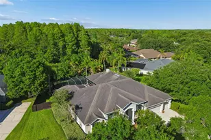 19108 Centre Rose Blvd, Lutz, FL 33558 - Photo 74
