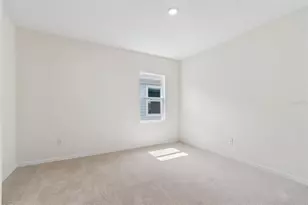3371 Yellow Cassia Dr, Wesley Chapel, FL 33543 - Photo 26