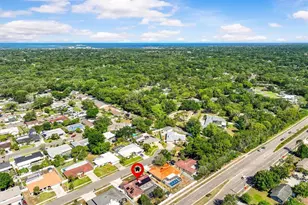 3149 Carlos Dr, Dunedin, FL 34698 - Photo 50