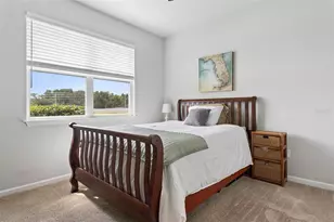 4317 Cloud Hopper Wy, Lutz, FL 33559 - Photo 14