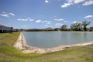4317 Cloud Hopper Wy, Lutz, FL 33559 - Photo 34