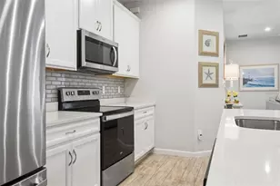 4317 Cloud Hopper Wy, Lutz, FL 33559 - Photo 8