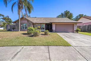 1606 Dusty Rose Ln, Brandon, FL 33510 - Photo 1