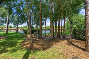 3399 Mermoor Dr, Palm Harbor, FL 34685 - Photo 32