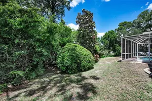 3423 Foxhall Dr, Holiday, FL 34691 - Photo 52