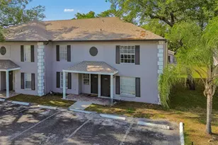 5156 Sunridge Palms Dr, Tampa, FL 33617 - Photo 2