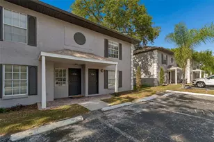5156 Sunridge Palms Dr, Tampa, FL 33617 - Photo 58