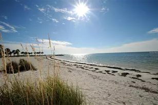 39820 US Hwy 19 N, Tarpon Springs, FL 34689 - Photo 92