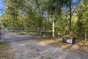 15700 Doe Trl, Brooksville, FL 34601 - Photo 6
