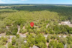 24503 Evaline St, Brooksville, FL 34601 - Photo 34