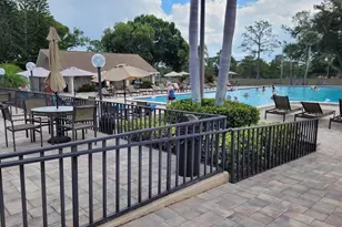 944 Madrid Dr, Palm Harbor, FL 34684 - Photo 18