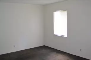 7506 Needle Leaf Pl, Tampa, FL 33617 - Photo 14