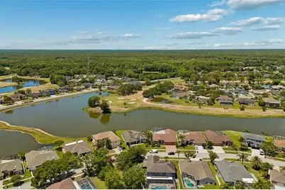 15911 Muirfield Drive, Odessa, FL 33556 - Photo 82