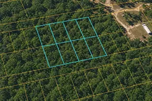 Unassigned 177th Rd, Live Oak, FL 32060 - Photo 1
