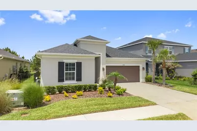33410 Castaway Loop, Wesley Chapel, FL 33543 - Photo 66