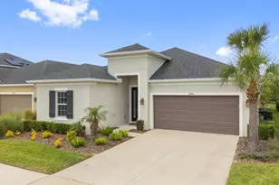 33410 Castaway Loop, Wesley Chapel, FL 33543 - Photo 74