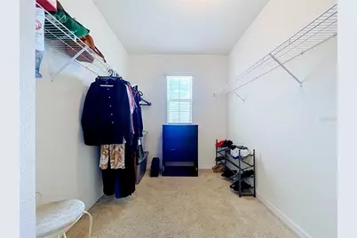 32628 Abby Lax Lane, Wesley Chapel, FL 33543 - Photo 22