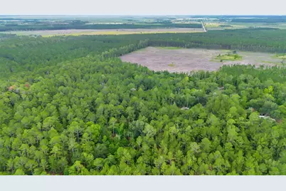 7831 NE 132nd Place, Citra, FL 32113 - Photo 10