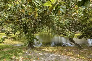 2643 Burntfork Dr, Clearwater, FL 33761 - Photo 36