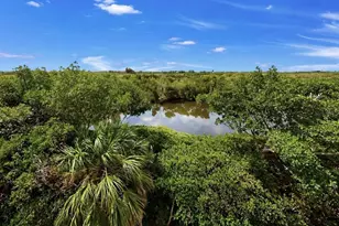 3202 Mangrove Point Dr, Ruskin, FL 33570 - Photo 48