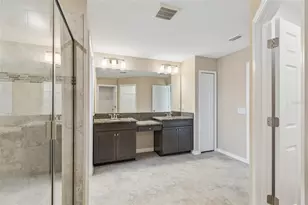 17647 Cortes Creek Blvd, Spring Hill, FL 34610 - Photo 54