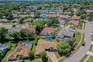 2814 Jarvis Cir, Palm Harbor, FL 34683 - Photo 8