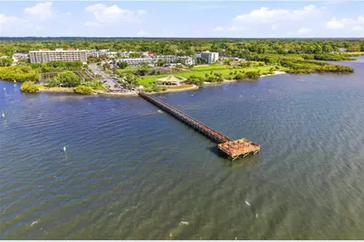 2376 Rajel Avenue, Safety Harbor, FL 34695 - Photo 62