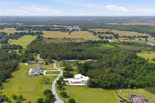 12505 Stone Lake Ranch Blvd, Thonotosassa, FL 33592 - Photo 46