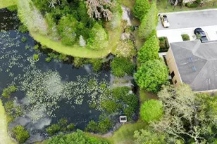 8301 Pine River Rd, Tampa, FL 33637 - Photo 6