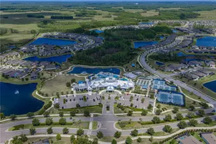 6041 Shorebird Br, Land O Lakes, FL 34638 - Photo 74
