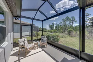 6041 Shorebird Br, Land O Lakes, FL 34638 - Photo 50