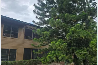 406 Lennox Road W, Palm Harbor, FL 34683 - Photo 1